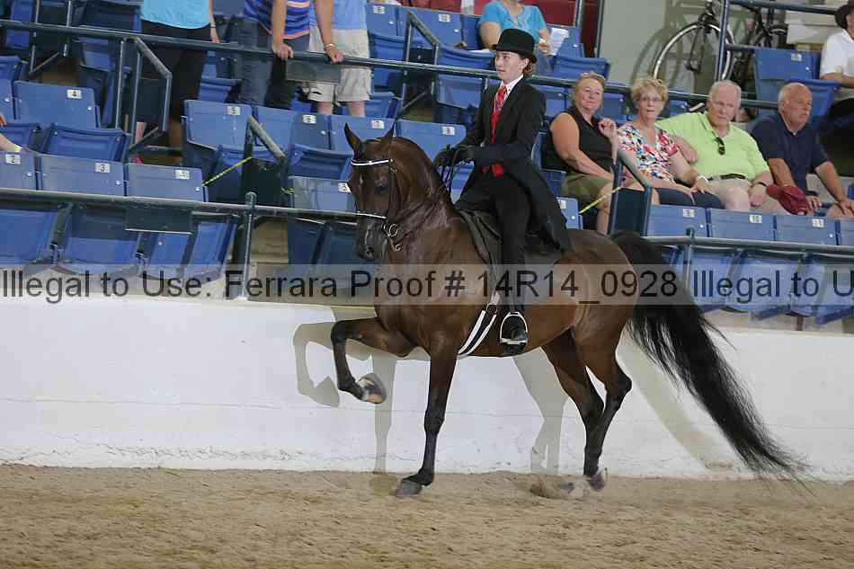 Proof Number 14r14_0928