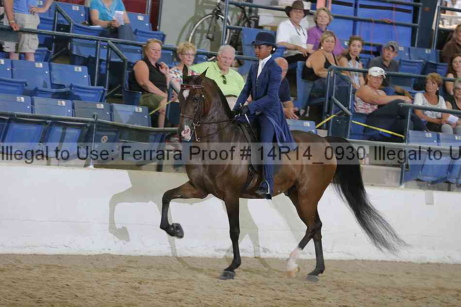 Proof Number 14r14_0930