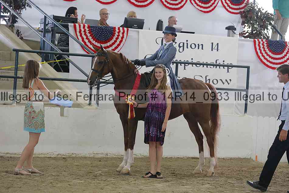 Proof Number 14r14_0933