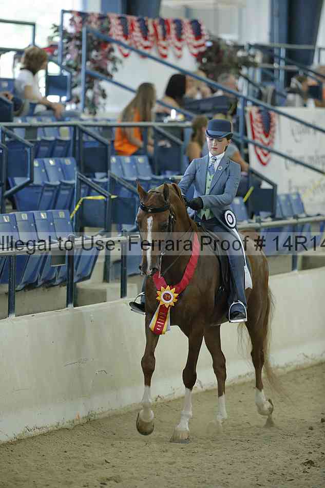 Proof Number 14r14_0935