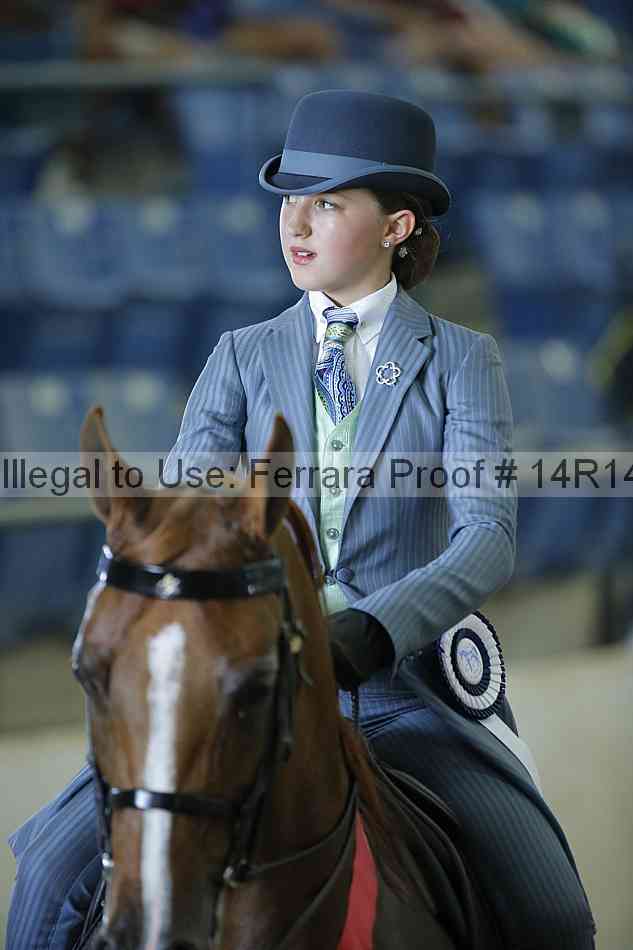 Proof Number 14r14_0936