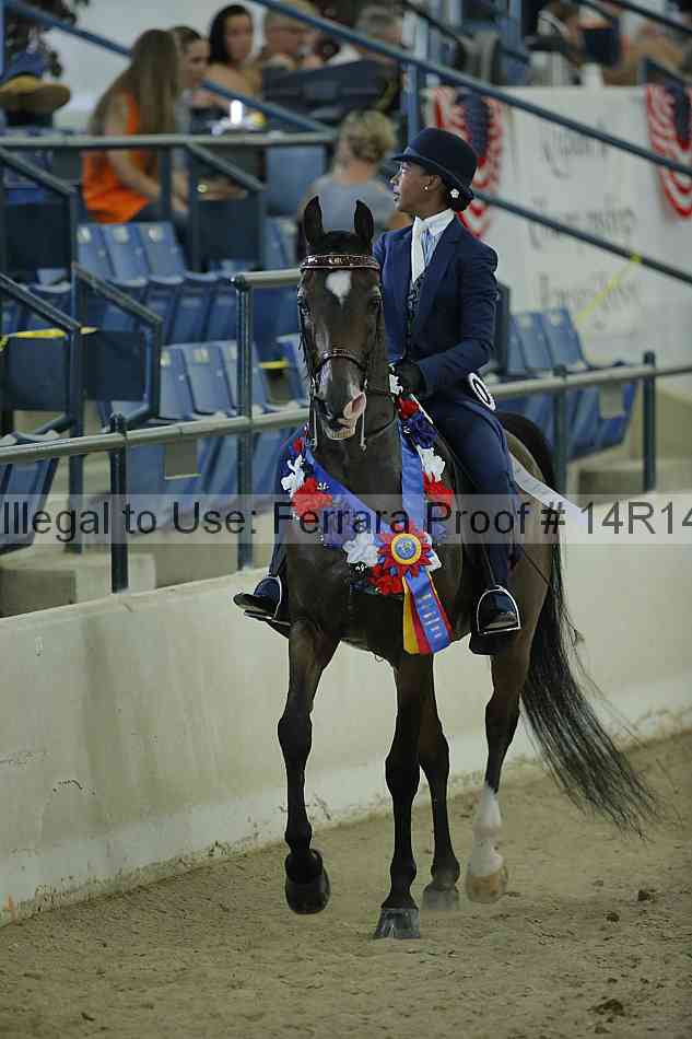 Proof Number 14r14_0942