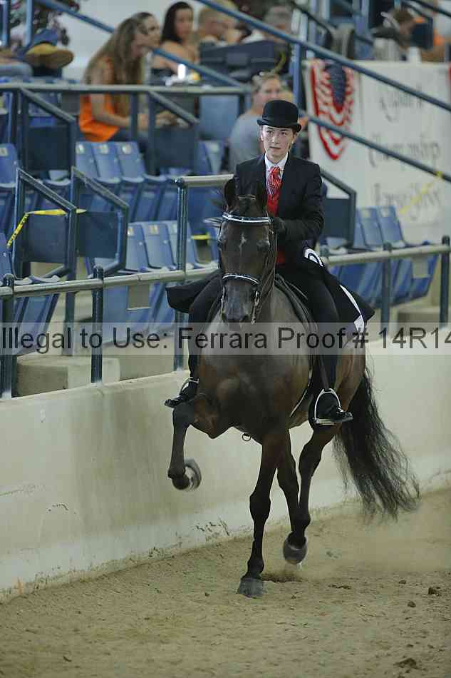 Proof Number 14r14_0949