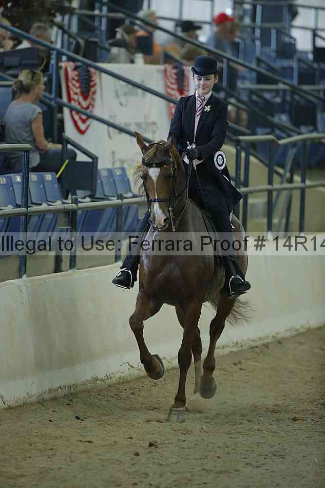 Proof Number 14r14_0957