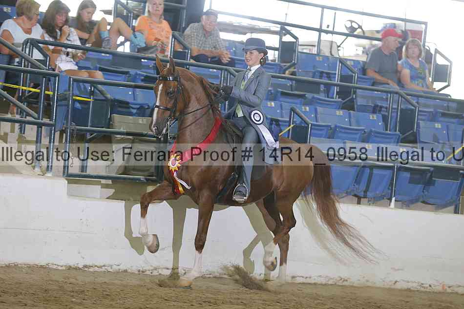 Proof Number 14r14_0958