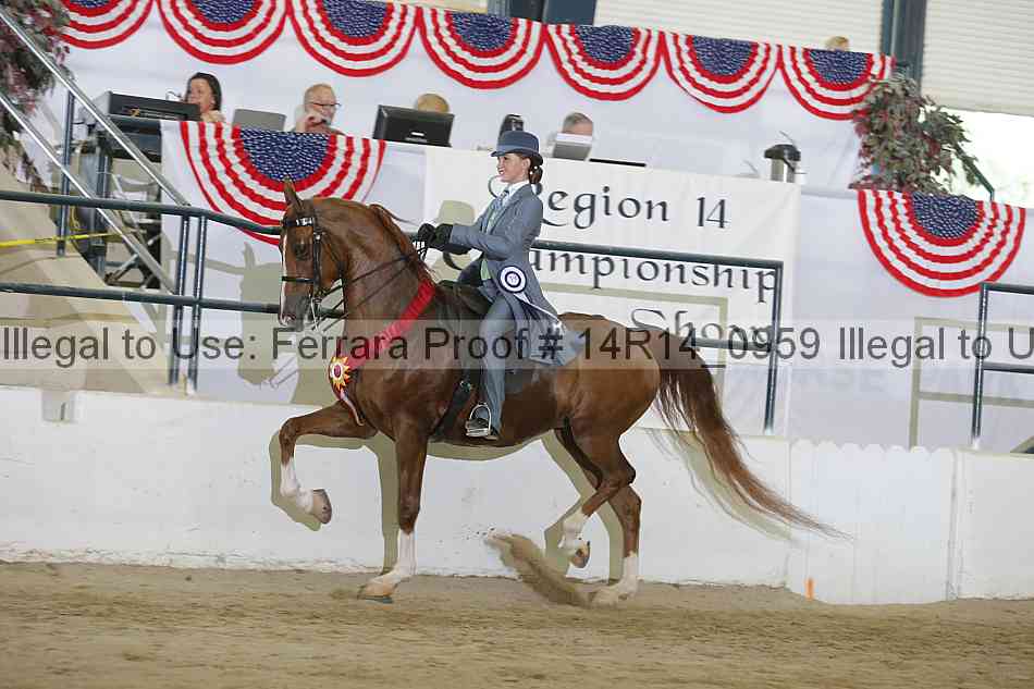 Proof Number 14r14_0959