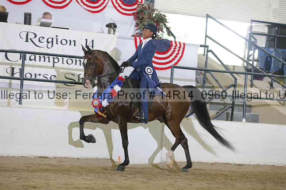 Proof Number 14r14_0960