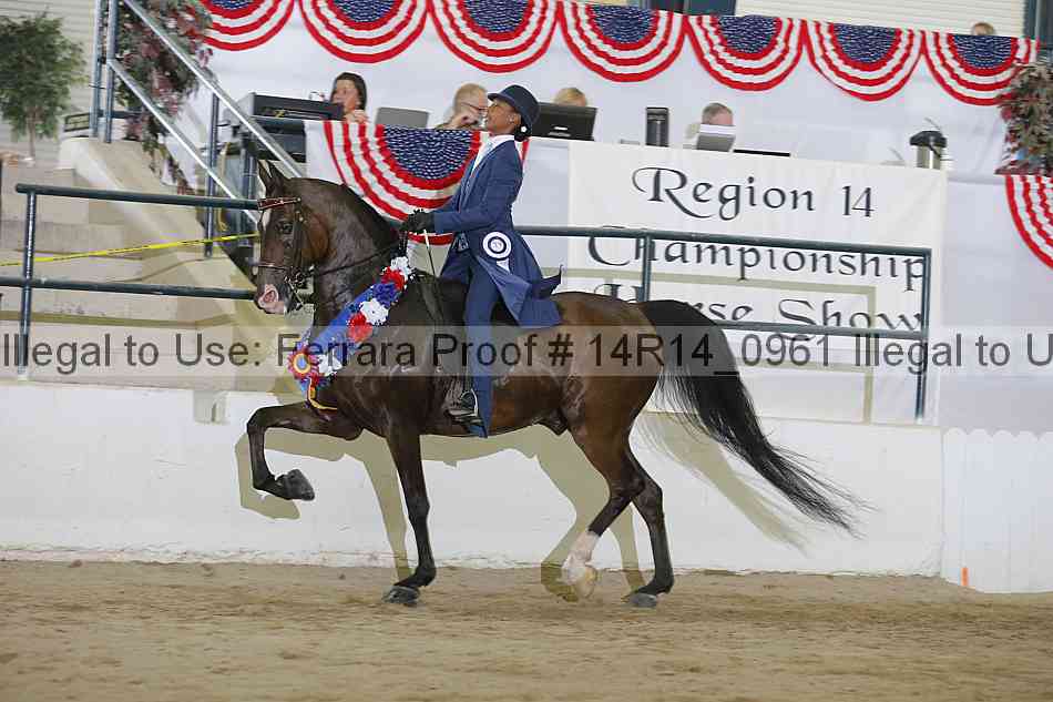 Proof Number 14r14_0961