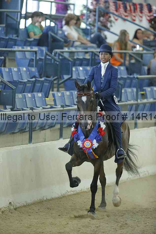 Proof Number 14r14_0965