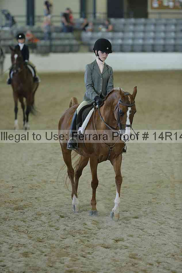 Proof Number 14r14_0992