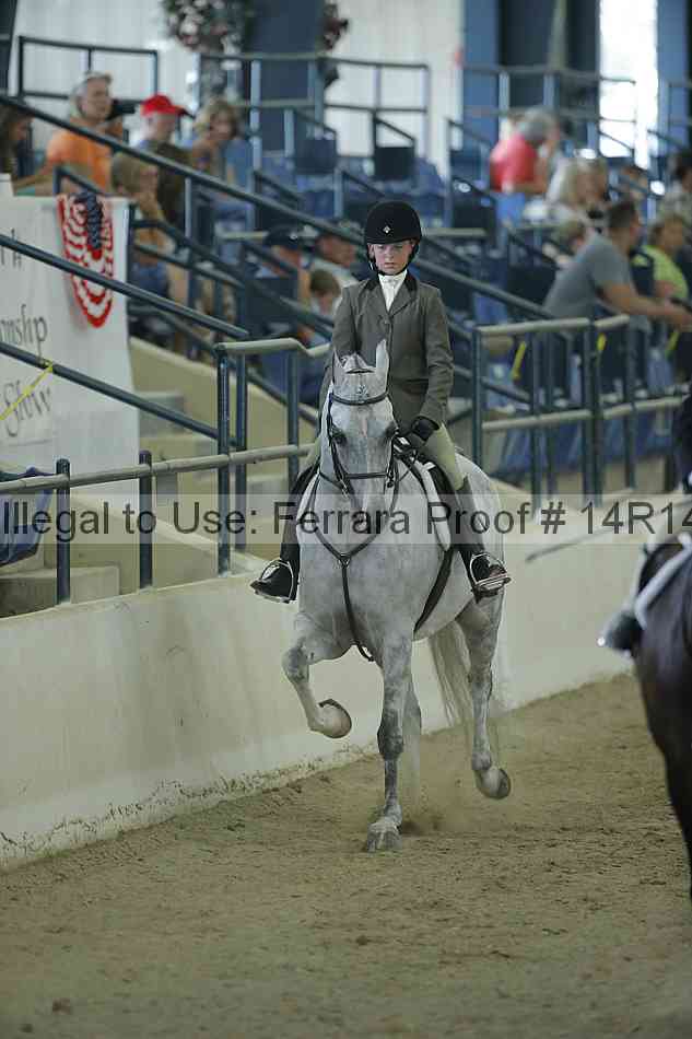 Proof Number 14r14_0998