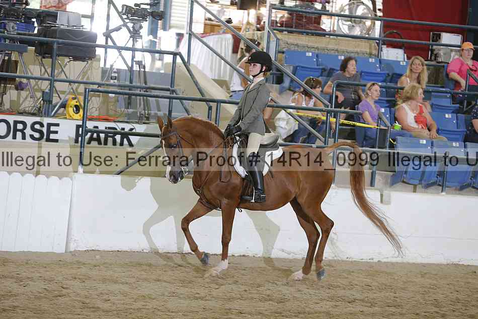 Proof Number 14r14_0999