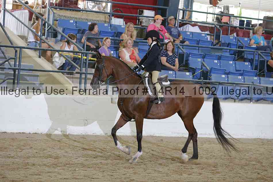 Proof Number 14r14_1002