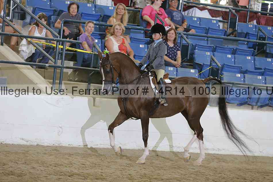 Proof Number 14r14_1003