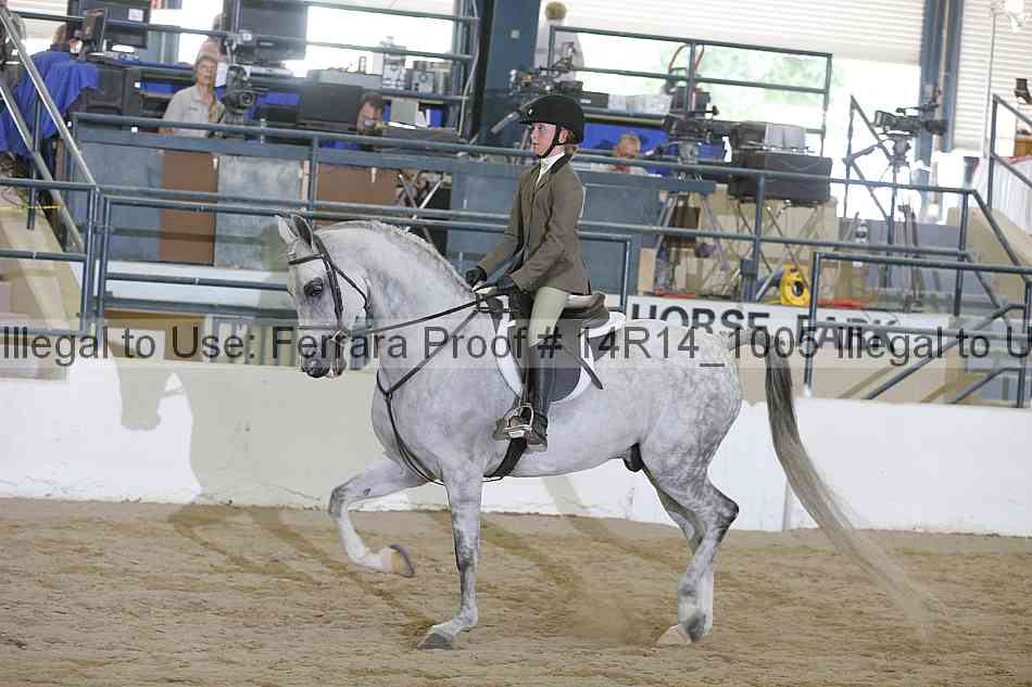 Proof Number 14r14_1005