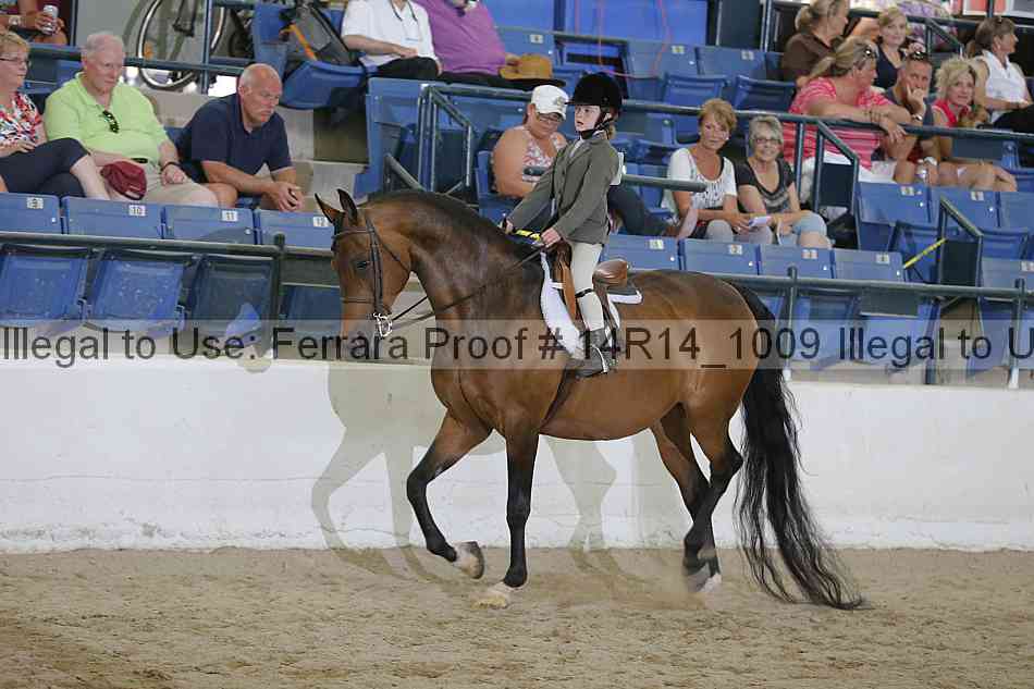 Proof Number 14r14_1009