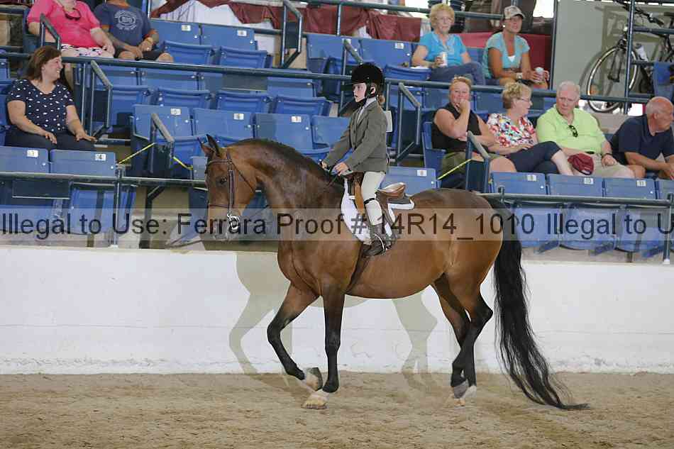 Proof Number 14r14_1010