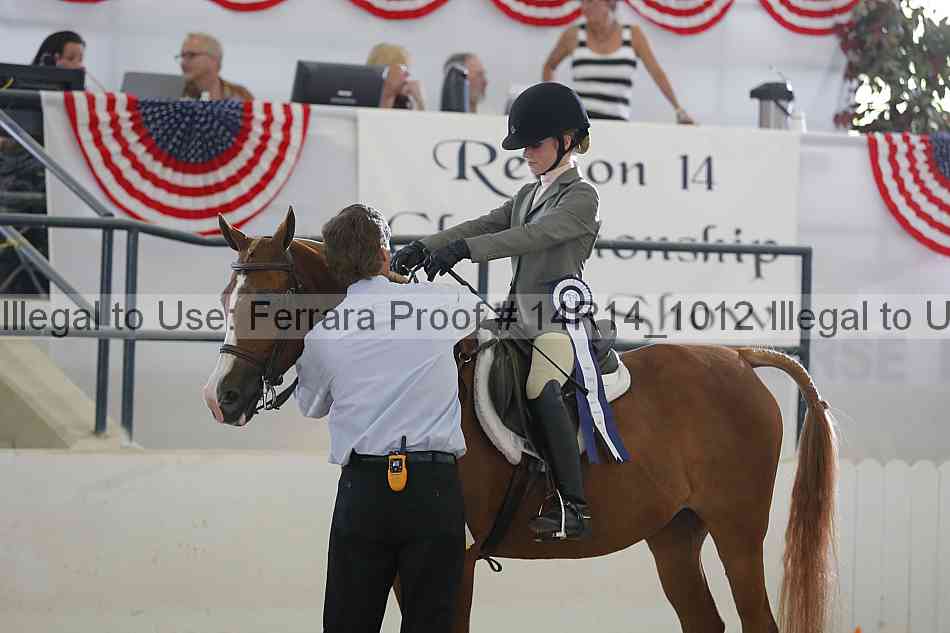 Proof Number 14r14_1012