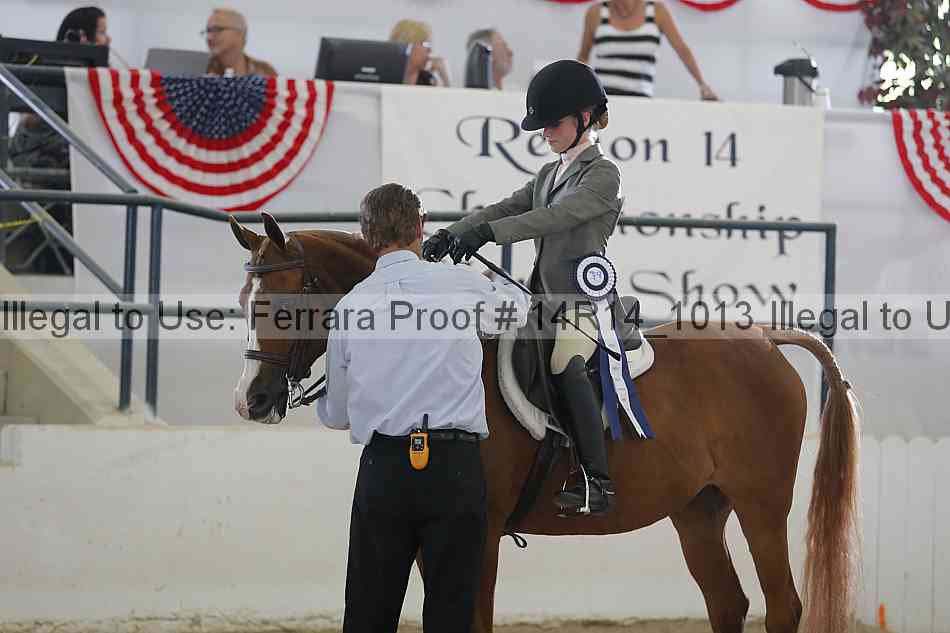 Proof Number 14r14_1013