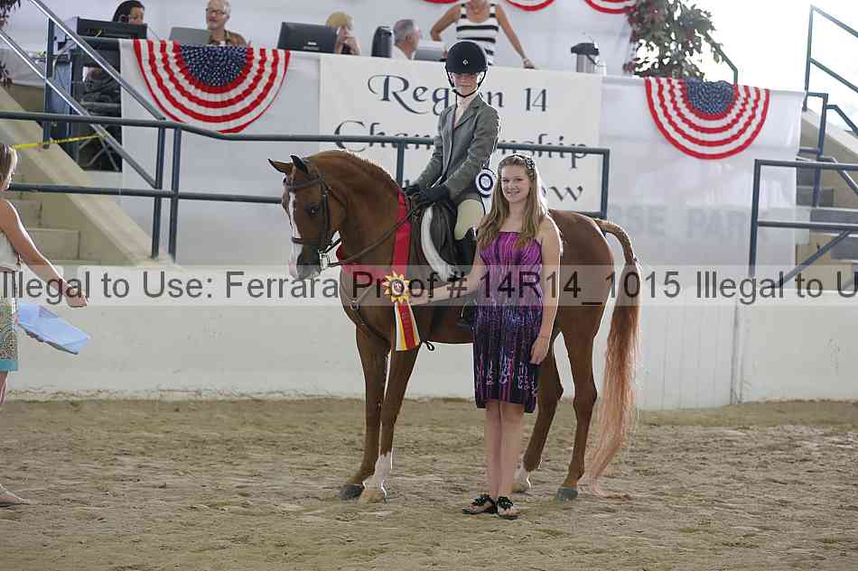 Proof Number 14r14_1015