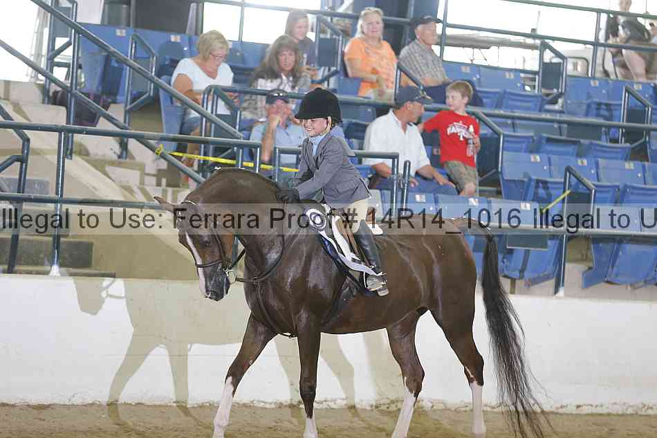 Proof Number 14r14_1016
