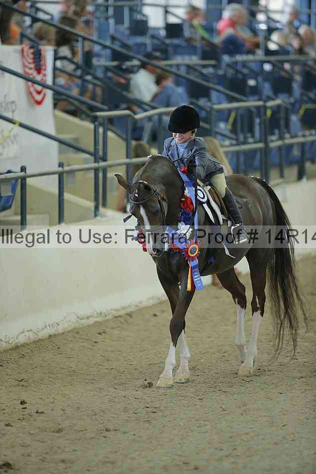 Proof Number 14r14_1020