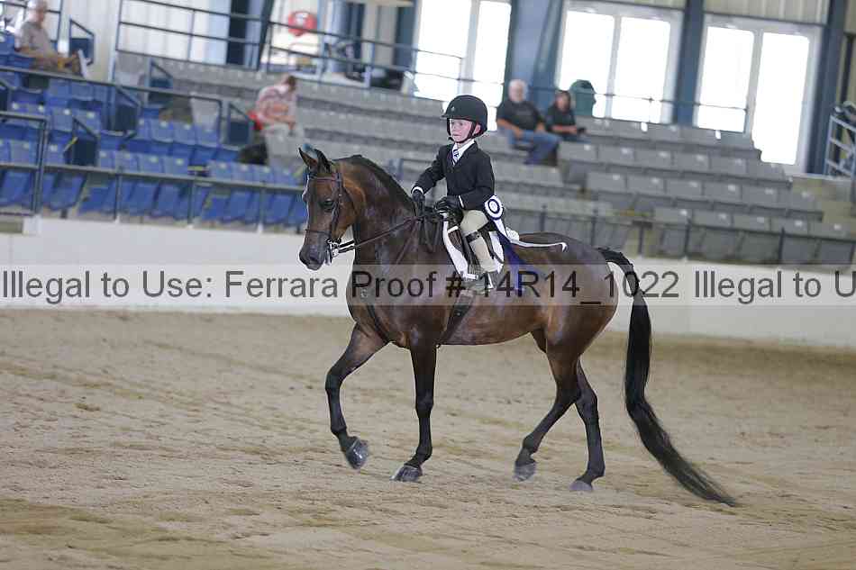 Proof Number 14r14_1022