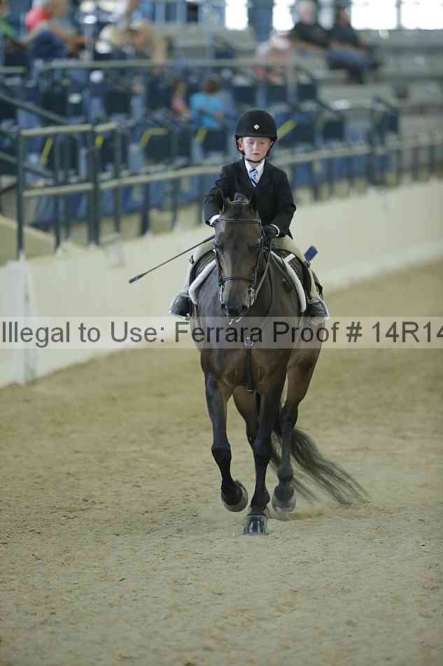 Proof Number 14r14_1024