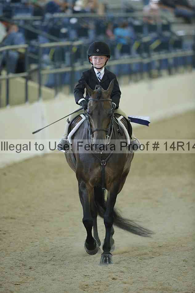 Proof Number 14r14_1025