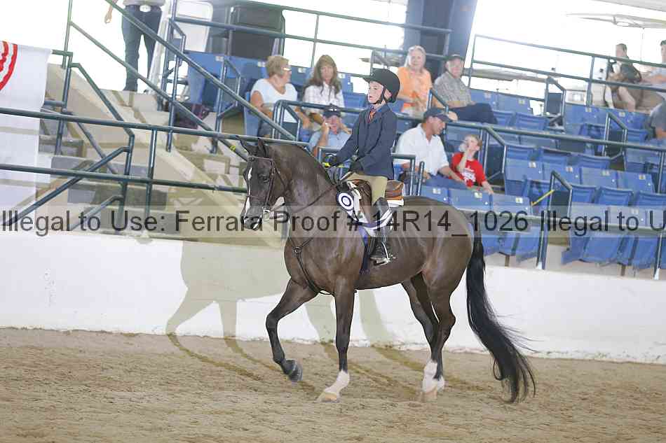 Proof Number 14r14_1026