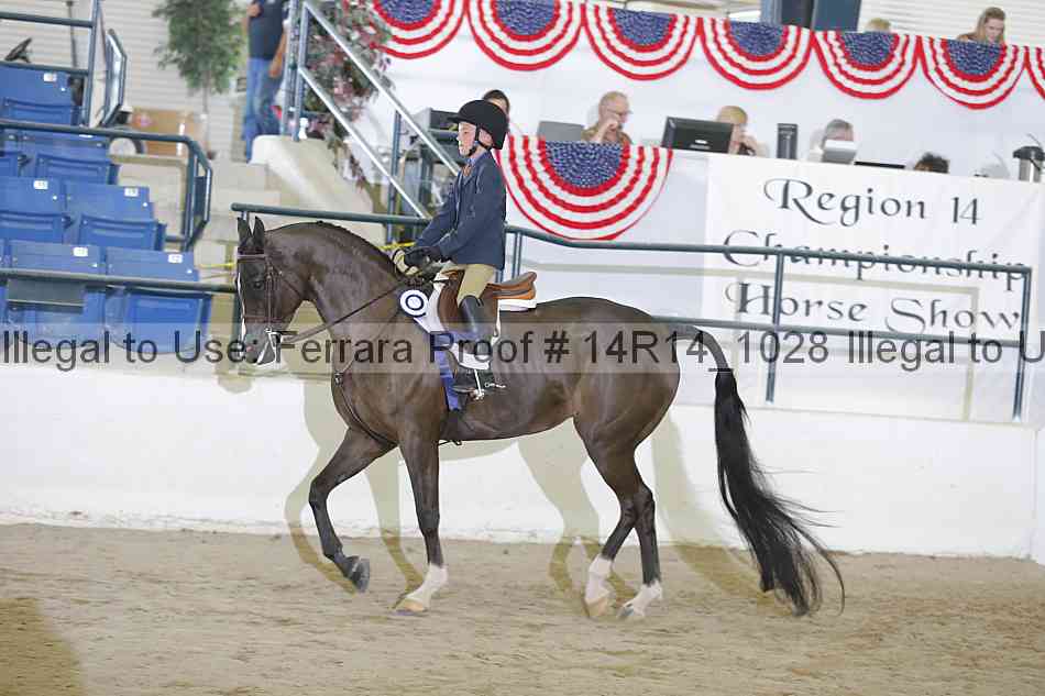 Proof Number 14r14_1028