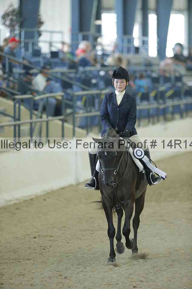 Proof Number 14r14_1034