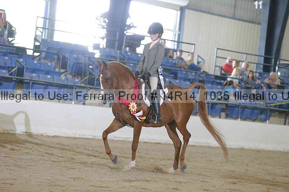 Proof Number 14r14_1035