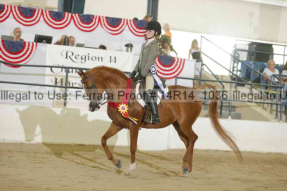 Proof Number 14r14_1036