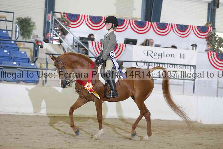 Proof Number 14r14_1037