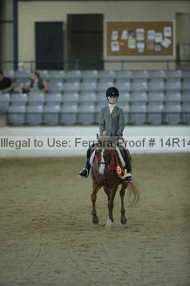 Proof Number 14r14_1038