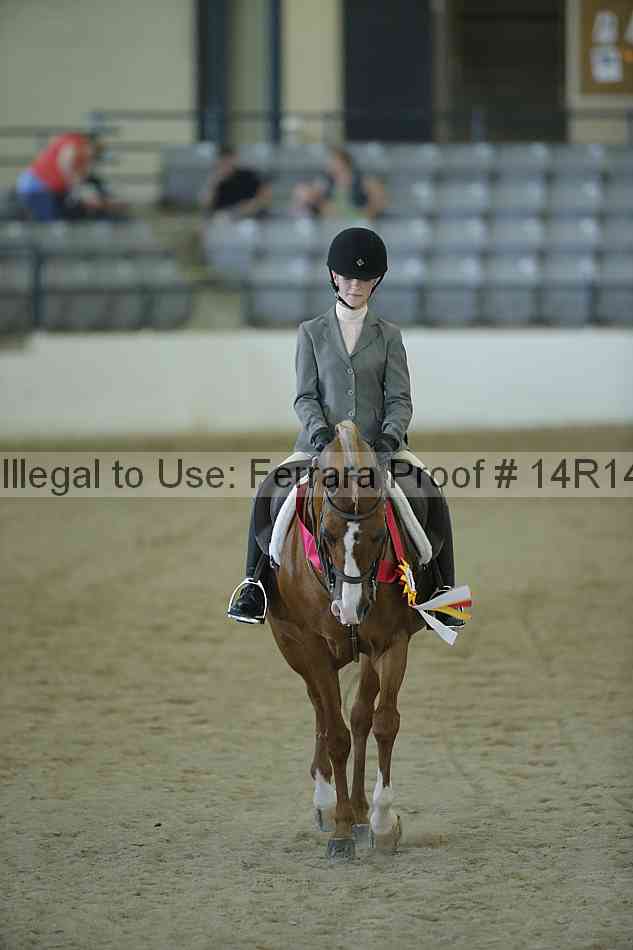Proof Number 14r14_1041