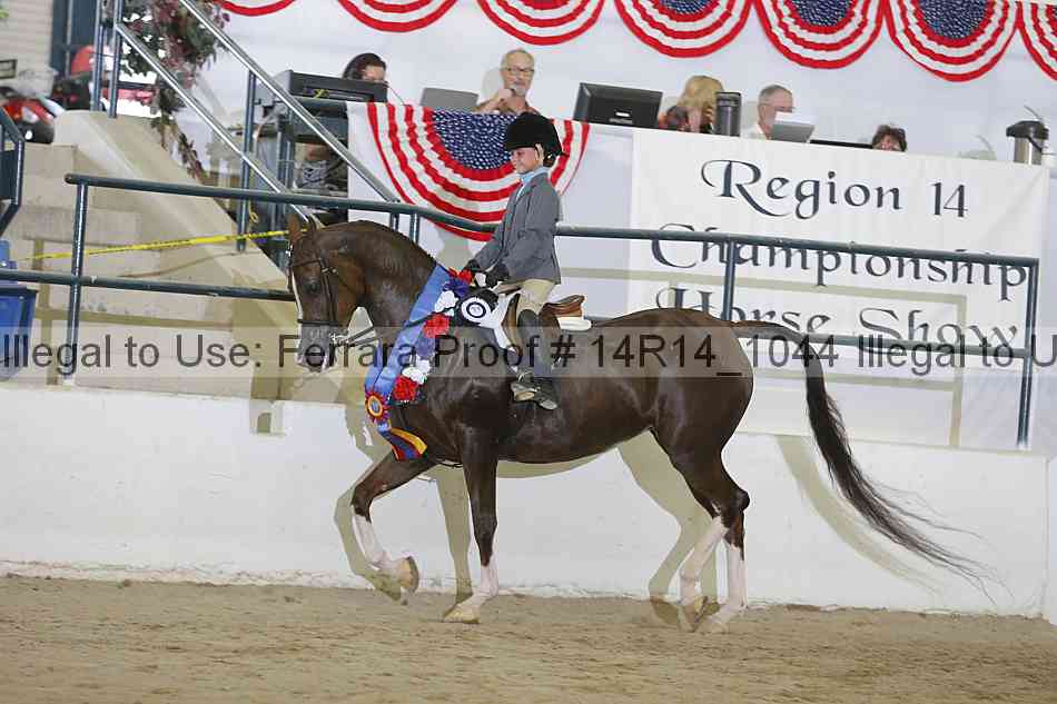 Proof Number 14r14_1044