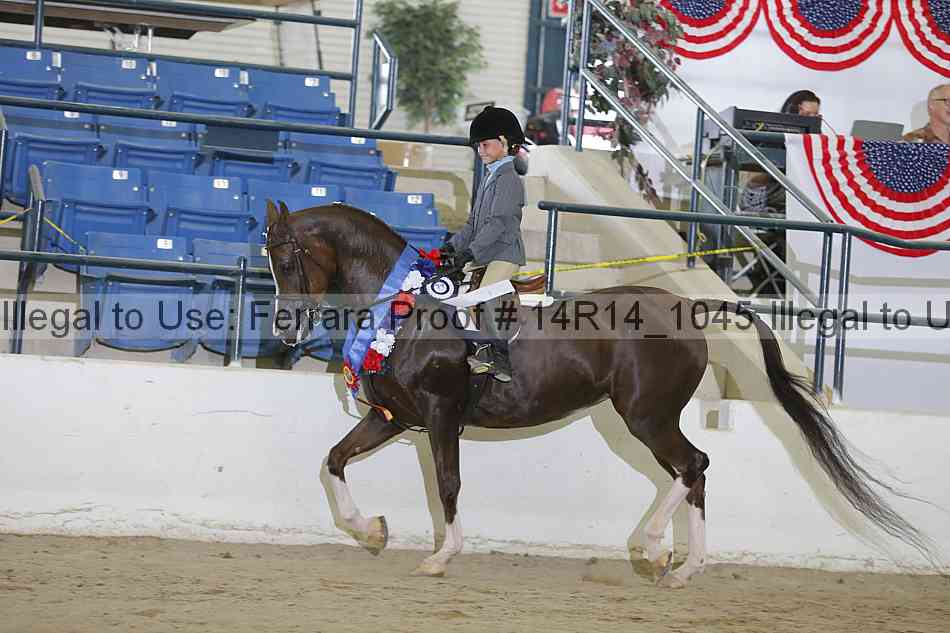 Proof Number 14r14_1045