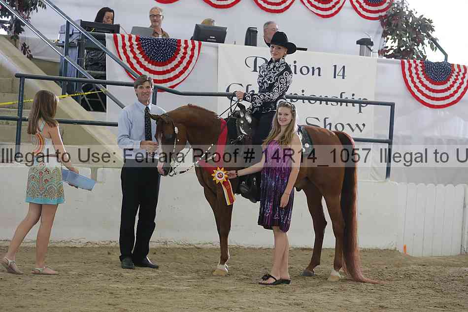 Proof Number 14r14_1057