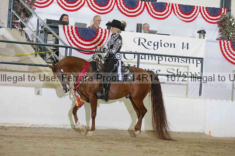Proof Number 14r14_1072