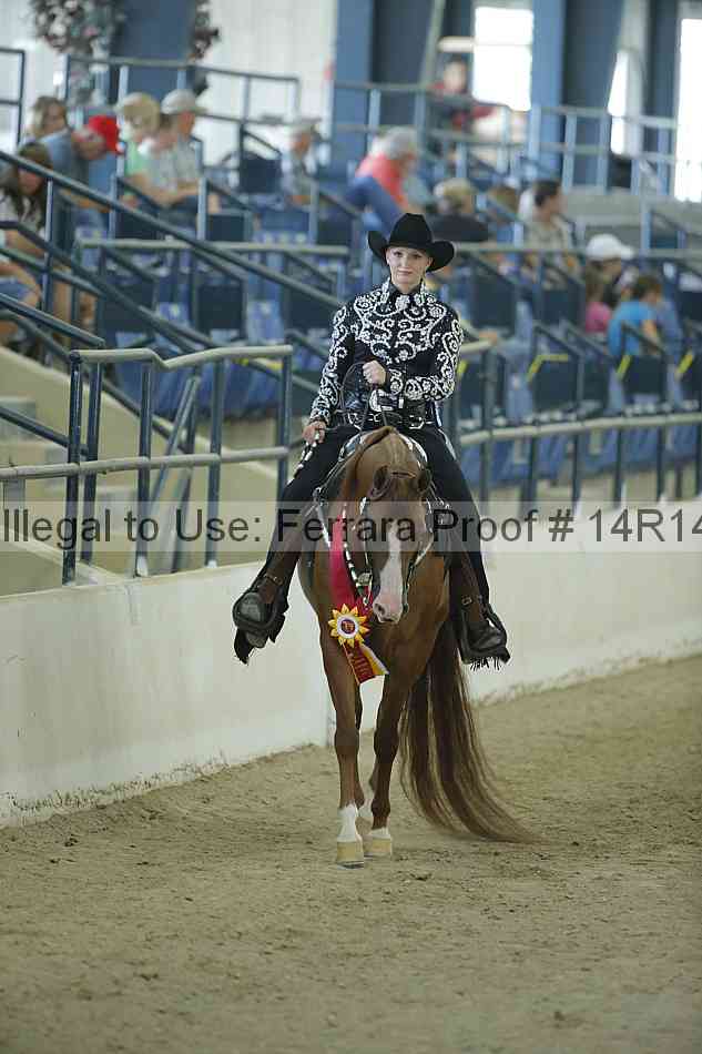 Proof Number 14r14_1075