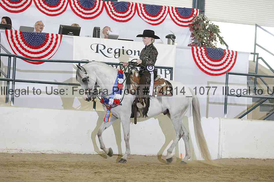 Proof Number 14r14_1077