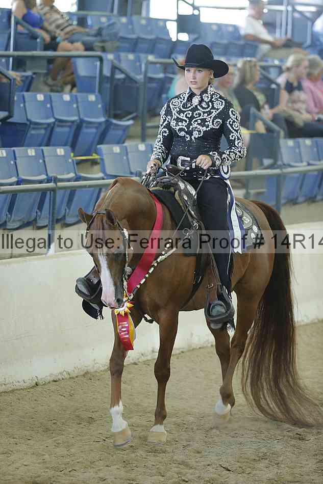 Proof Number 14r14_1079