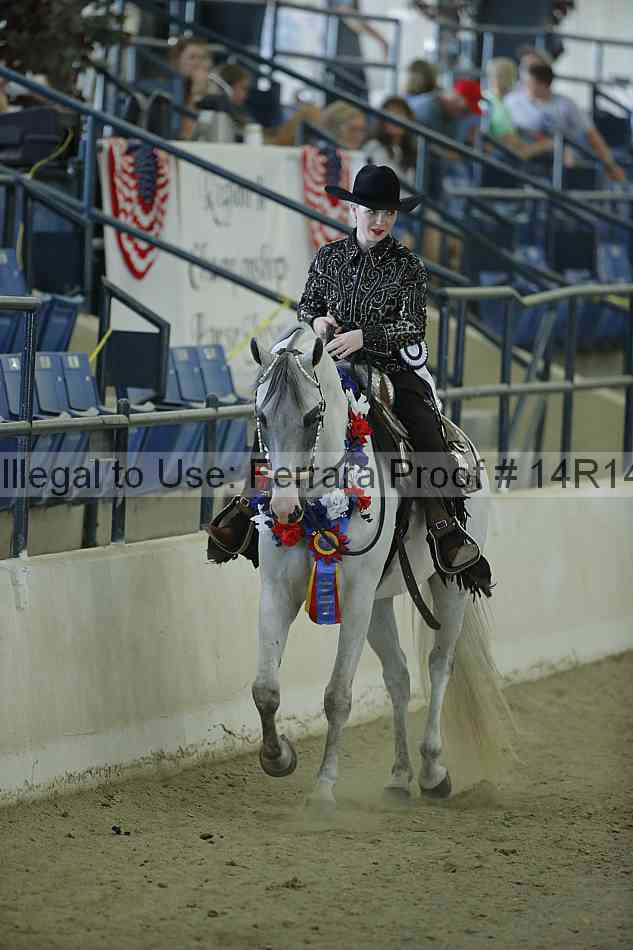 Proof Number 14r14_1082