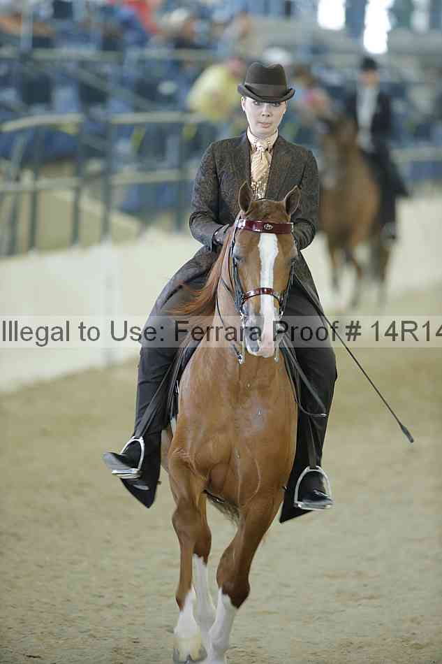 Proof Number 14r14_1093