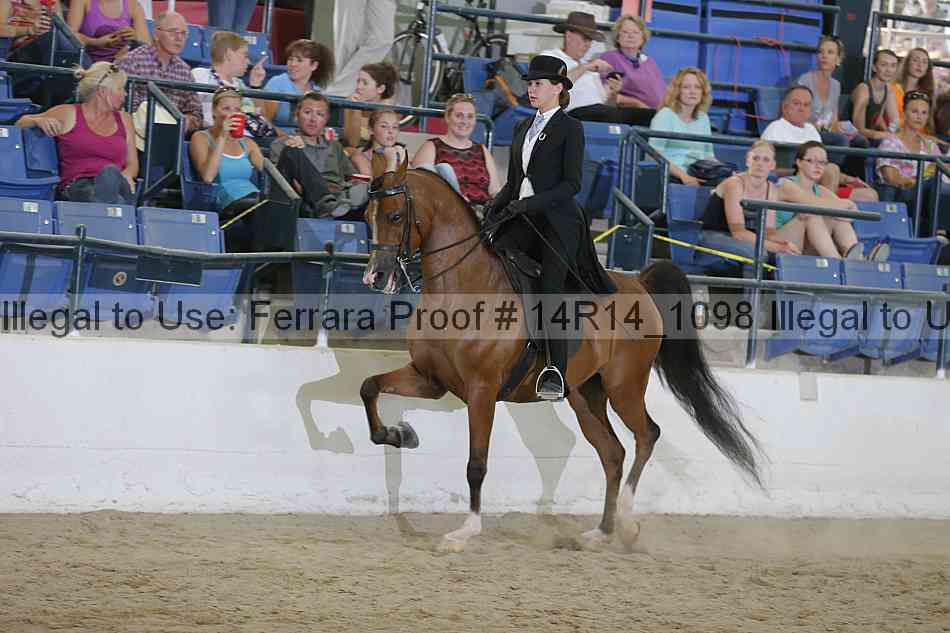 Proof Number 14r14_1098