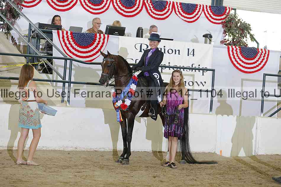 Proof Number 14r14_1104
