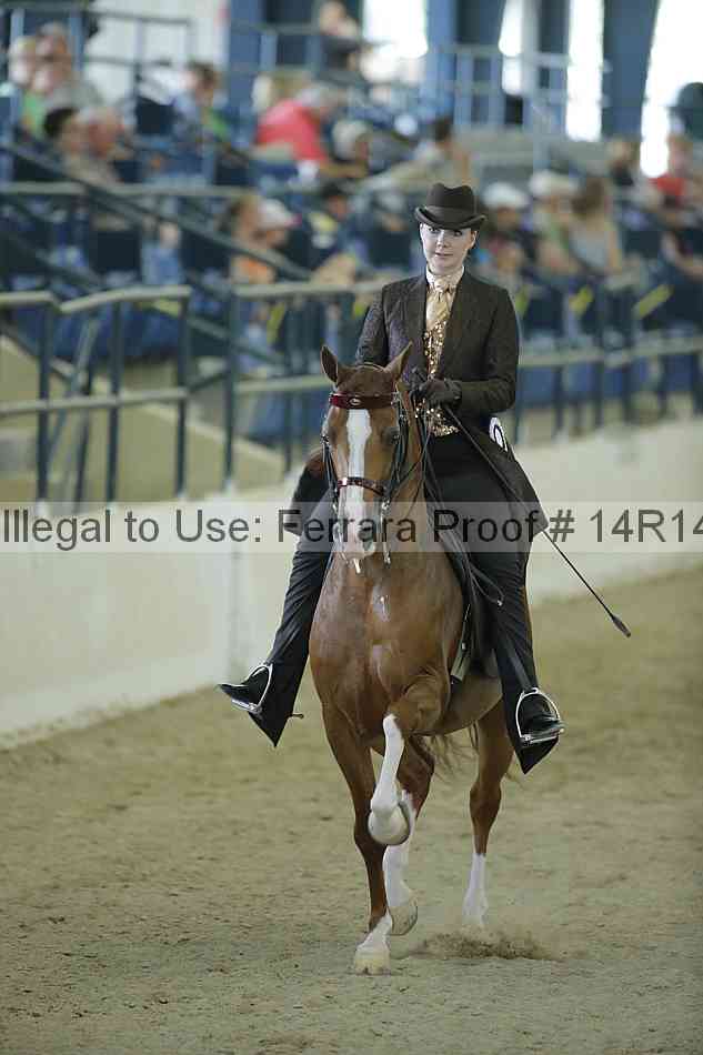 Proof Number 14r14_1111