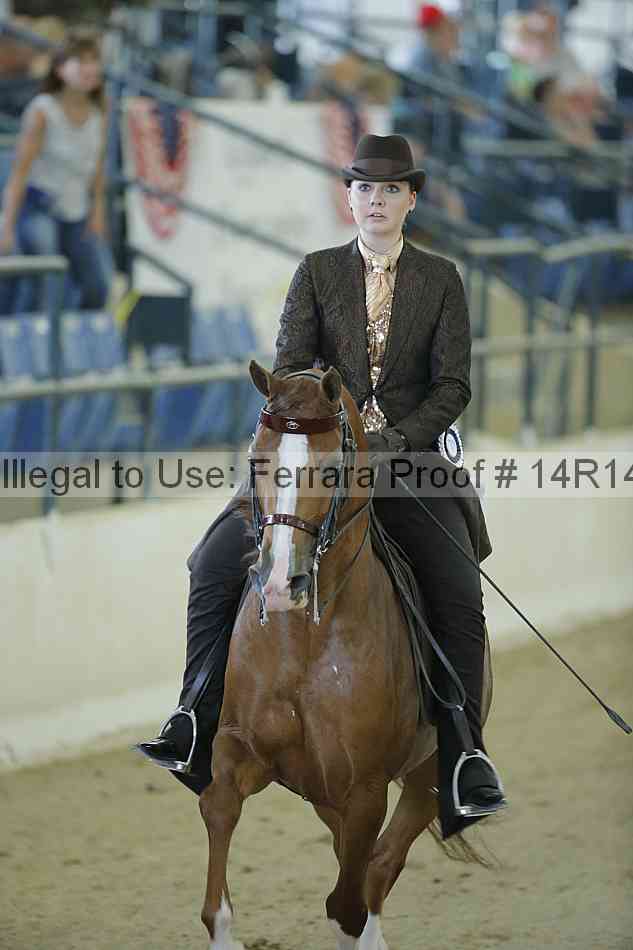 Proof Number 14r14_1112